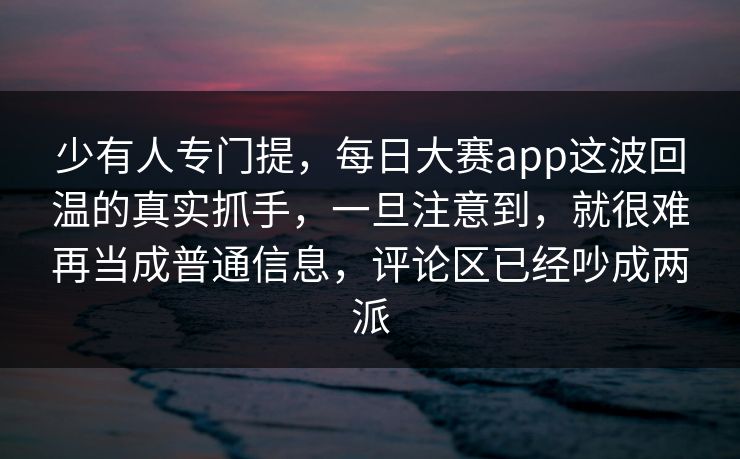 少有人专门提，每日大赛app这波回温的真实抓手，一旦注意到，就很难再当成普通信息，评论区已经吵成两派
